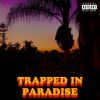 Download track Trapped In Paradise Intro