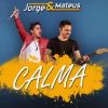 Download track Calma