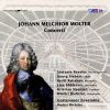 Download track Oboe Concerto In G Minor, MWV 6.22 I. Allegro