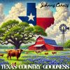 Download track Texas Girls