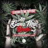 Download track All Ganja Man [T> I Remix]