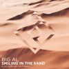 Download track Smiling In The Sand (Tim Tonal Remix)