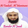 Download track Sourate At Tawbah, Pt. 1 (Hafs Muratal)