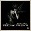 Download track Mantis On The Moon (Animal Trainer Remix)