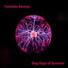 Download track Dog Days Of Summer