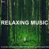 Download track Beautiful Relaxing For Stress Relief