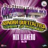 Download track Llanero Cumbia # 20: Solo Y Sin Su Amor / Pequeña / Lagrimas De Sangre / Una Miradita