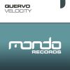 Download track Velocity (Radio Edit)