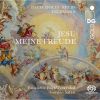 Download track Jesu, Meine Freude, BWV 227: No. 9, Choral - Gute Nacht, O Wesen