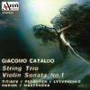 Download track Sonata Per Violino E Pianoforte No. 1: II. Adagio