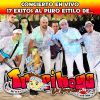 Download track La Danza De Los Mirlos (Cumbia De Los Pajaritos) (En Vivo)