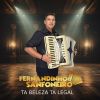 Download track Forro Do Fernandinho Sanfoneiro