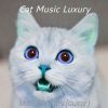 Download track Funky Jazz Guitar Trio - Vibe For Training Your Cat