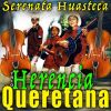 Download track Serenata Huasteca