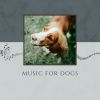 Download track Soothing Music For Dogs