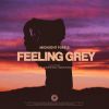 Download track Feeling Grey (Axel The Rose Remix)