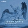 Download track 10. Schwanengesang, S. 560 (After Schubert's D. 957) No. 4, Am Meer