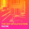 Download track The Joy Of Elevation