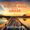 Download track Never Forget (Original Mix)