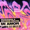 Download track Mi Amor (Extended Mix)