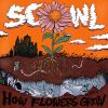 Download track How Flowers Grow