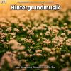 Download track Hintergrundmusik Pt. 68