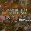 Download track Amorcito Norteño