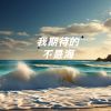 Download track 我期待的不是海