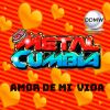 Download track Amor De Mi Vida