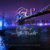 Download track New York Calling In The Night