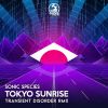 Download track Tokyo Sunrise Transient Disorder Remix