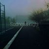 Download track Sadness Night (Slowed)