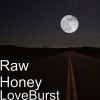 Download track Honey (Re-Mix With Different Bass [Flange]