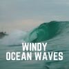 Download track Quiet Waves