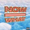 Download track Now What