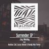 Download track Surrender (Lucas Rotela, Randy Mas Remix)