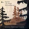 Download track Bach Violin Partita No. 2 In D Minor, BWV 1004 I. Allemande