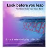 Download track Look Before You Leap