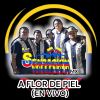 Download track Celos (En Vivo)