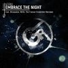 Download track Embrace The Night (Dimassive Remix)