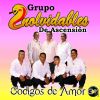 Download track Y No Era El Amor