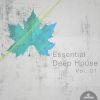 Download track In Love - Double Deep House Remix