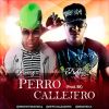 Download track Perro Callejero