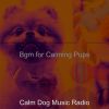 Download track Brilliant Solo Piano Jazz - Vibe For Doggies