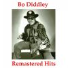 Download track Hey! Bo Diddley (Remastered)