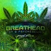 Download track Pot And Psychedelics