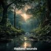 Download track Chiang Mai Neighborhood (Birds Chirping, Distant City)