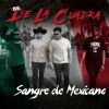 Download track Sangre De Mexicano