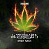 Download track Weed Song (Extended Mix)