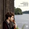 Download track Violin Concerto, Op. 1: III. Allegro Con Spirito